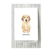 Postermanya Golden Retriever Çocuk Odası 30x40 cm Poster
