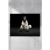 Postermanya Kutup Ayısı Eğlenceli Mizahi 40x60 cm Poster