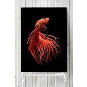 Postermanya Sanatsal Balık Hayvan 3 60x90 cm Poster