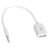 Powermaster Dişi Aux Stereo USB Kablo