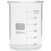 Poyrish Beherglas 600 Ml. - Çok Renkli - Standart