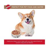 Prime Spot I Dogs Tabağı - Yuvarlak Seramik Yemek/evcil Hayvanlar Için Yüksek Duvarlı Su Kasesi, Bulaşık Makinesinde Yıkanabilir, Küçük Köpekler, Kediler, Sürüngenler, Büyük Kuşlar, 12,7 Cm, 1,75 - Option-1