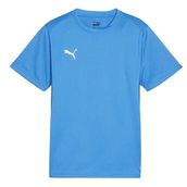 Puma 65863602 Teamgoal Jersey Mavi Erkek Forması