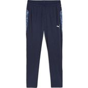 Puma 65917506 Teamcup Training Pants Gri Erkek Eşofman Altı
