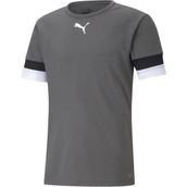 Puma Gri Teamrise Jersey Erkek Futbol Forması