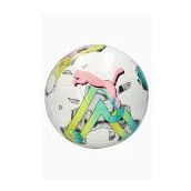 Puma Orbita 6 Ms Futbol Topu No:5