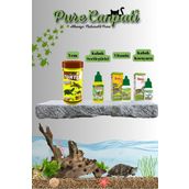PureCanpati Kaplumbağa Bakım Ve Mix Yem Seti(Vitamin,Kabuk ve Su Düzenleyici)