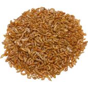 Purecanpati Kurutulmuş Gammarus Kaplumbağa Yemi 25 gr