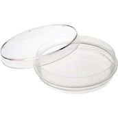 Qlp Cam Petri Kabı Kutusu 100 x 15 mm