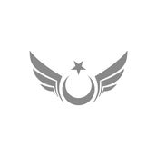 Quart Aksesuar 20 x 11 cm Kanatlı Ay Yıldız Oto Sticker Oto Araba Cam Sticker Gri