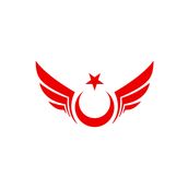 Quart Aksesuar 25 x 14 cm Kanatlı Ay Yıldız Oto Sticker Oto Araba Cam Sticker Kırmızı
