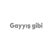 Quart Aksesuar 25 x 5 cm Gayış Gibi Oto Sticker Araba Cam Sticker Gri