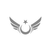 Quart Aksesuar 30 x 17 cm Kanatlı Ay Yıldız Oto Sticker Oto Araba Cam Sticker Gri