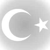 Quart Aksesuar Ay Yıldız Sticker Türk Bayrağı Oto Sticker Araba Cam Sticker - Beyaz - 10 x 7,5 cm