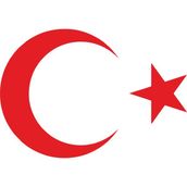 Quart Aksesuar Ay Yıldız Sticker Türk Bayrağı Oto Sticker Araba Cam Sticker - Kırmızı - 10 x 7,5 cm