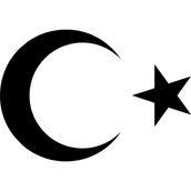 Quart Aksesuar Ay Yıldız Sticker Türk Bayrağı Oto Sticker Araba Cam Sticker - Siyah - 10 x 7,5 cm