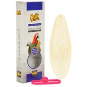 Quik Büyük Mürrekkep Balığı Kemiği