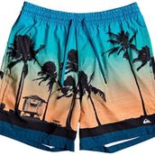 Quiksilver 23451 Erkek Pardsvly17 M Jamv Bsm6 Şort Mayo