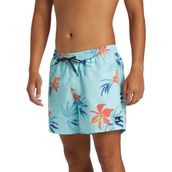 Quiksilver AQYJV03147 Everyday Mix Volley 15 Mavi Erkek Mayo Şort