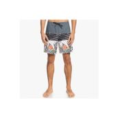 Quiksilver Everyday Division 17 Erkek Deniz Şortu EQYBS04580