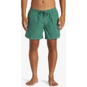 Quiksilver Everyday Surfwash Volley 15 Erkek Deniz Şortu - Yeşil