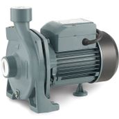 Rain Pump CPM170 Santrifuj Pompası