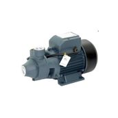 Rainpump QB80 Santrifuj Pompa