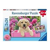 Ravensburger RPK050291 Friends 2x24 Parça Puzzle