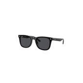 Ray-Ban 0RB4420 601/87 65 Unisex Güneş Gözlüğü