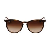 RAY-BAN RB 4171 ERIKA 6083/5A Güneş Gözlüğü