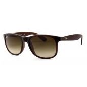 Rayban RB4202-607313-55 Unisex Güneş Gözlüğü