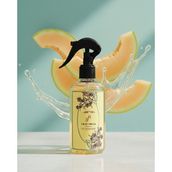 RD037 - Gray Hill's 250 ML Ferah Kavun Sprey Oto Kokusu - 2 Adet