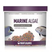 Reeflowers 500 ml Marine Algae Tuzlu Su Balık Yemi