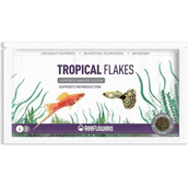 Reeflowers 6 gr Zarf Tropical Flakes Pul Balık Yemi