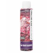 Reeflowers Coralline Algae Accelerator 250 ml Balık Yemi