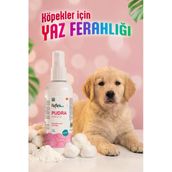 Reflex Care 125 ml Pudra Kokulu Köpek Kolonyası
