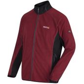 Regatta Ashton Bordo Erkek Polar