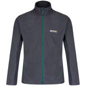 Regatta Ashton Gri Erkek Polar