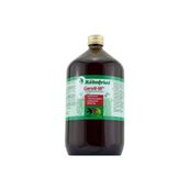 Röhnfried 100 ml Gervit W Multivitamin Takviyesi