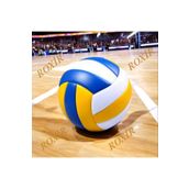 Roxir ROİR RENKLİ DİKİŞLİ VOLEYBOL TOPU
