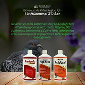 Royal Acidoral Pigeorex Pantonic 3'lü 1 lt Tamamlayıcı Yem Seti