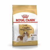 Royal Canin Cavalier King Charles 1.5 kg Yetişkin Köpek Maması