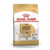 Royal Canin Labrador Retriever 30 12 KG Yetişkin Köpek Maması
