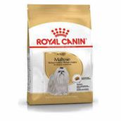 Royal Canin Maltese Terrier 1,5 kg Yetişkin Köpek Maması