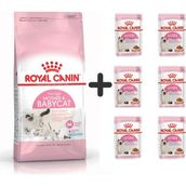 Royal Canin Mother Babycat 4 kg Yavru Kuru Kedi Maması + 6 Adet Yaş Mama
