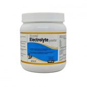 Royal Electrolyte Powder 500 gr Kanatlılarda Elektrolit Desteği