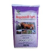 Royal Royvimin B Forte 25 kg Torba Mayalı ve Biotinli Yem Katkıları