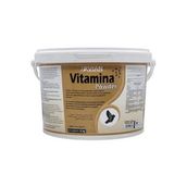 Royal Vitamina Powder 4 kg Vitamin ve Mineral Desteği