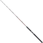 Ryuji Deep Rider 180 cm 50-80LBS Akisyonlu Trolling Kamışı