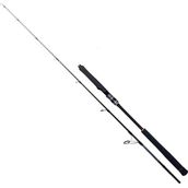 Ryuji Seawolf 1.98 m 150-250 gr 2P Aksiyonlu Olta Kamışı
